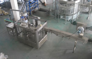 CGF Series Bottle Filling Machine